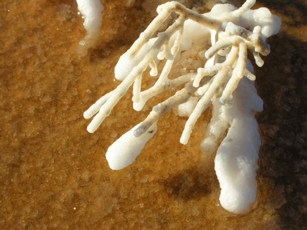 DSCN8426.jpg
