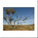 arid_landscape_02.jpg