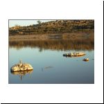 arid_landscape_11.jpg