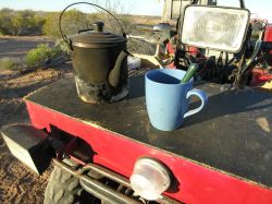 Cup of tea