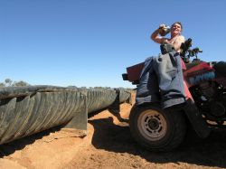 Shower at the cattle trough